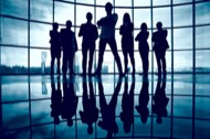 Meet the Team